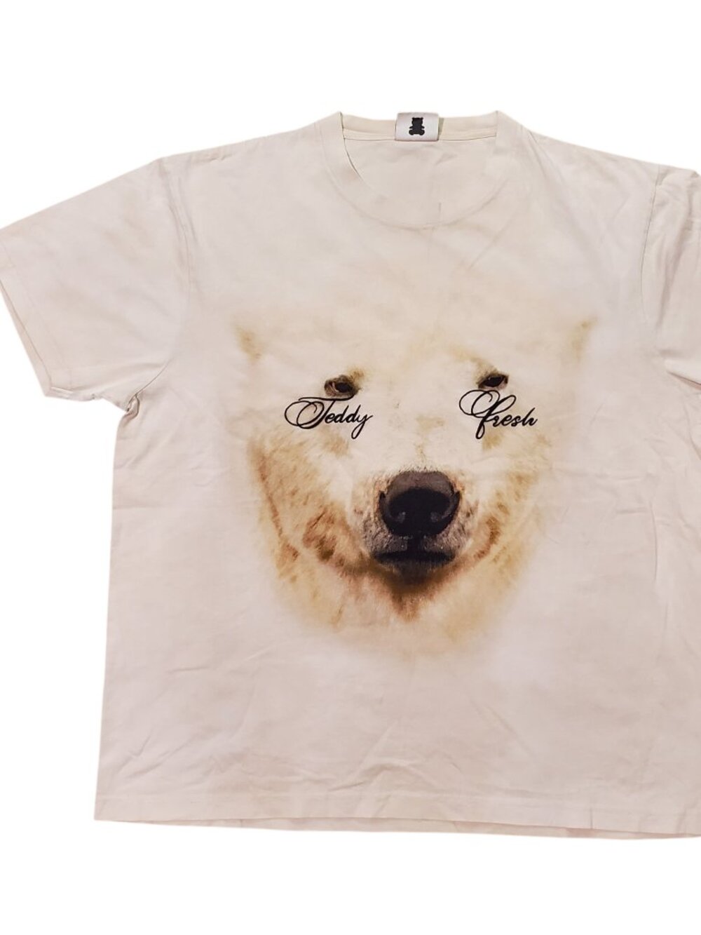 Teddy Fresh Polar Bear Posty Embroidered Graphic Tee - XL